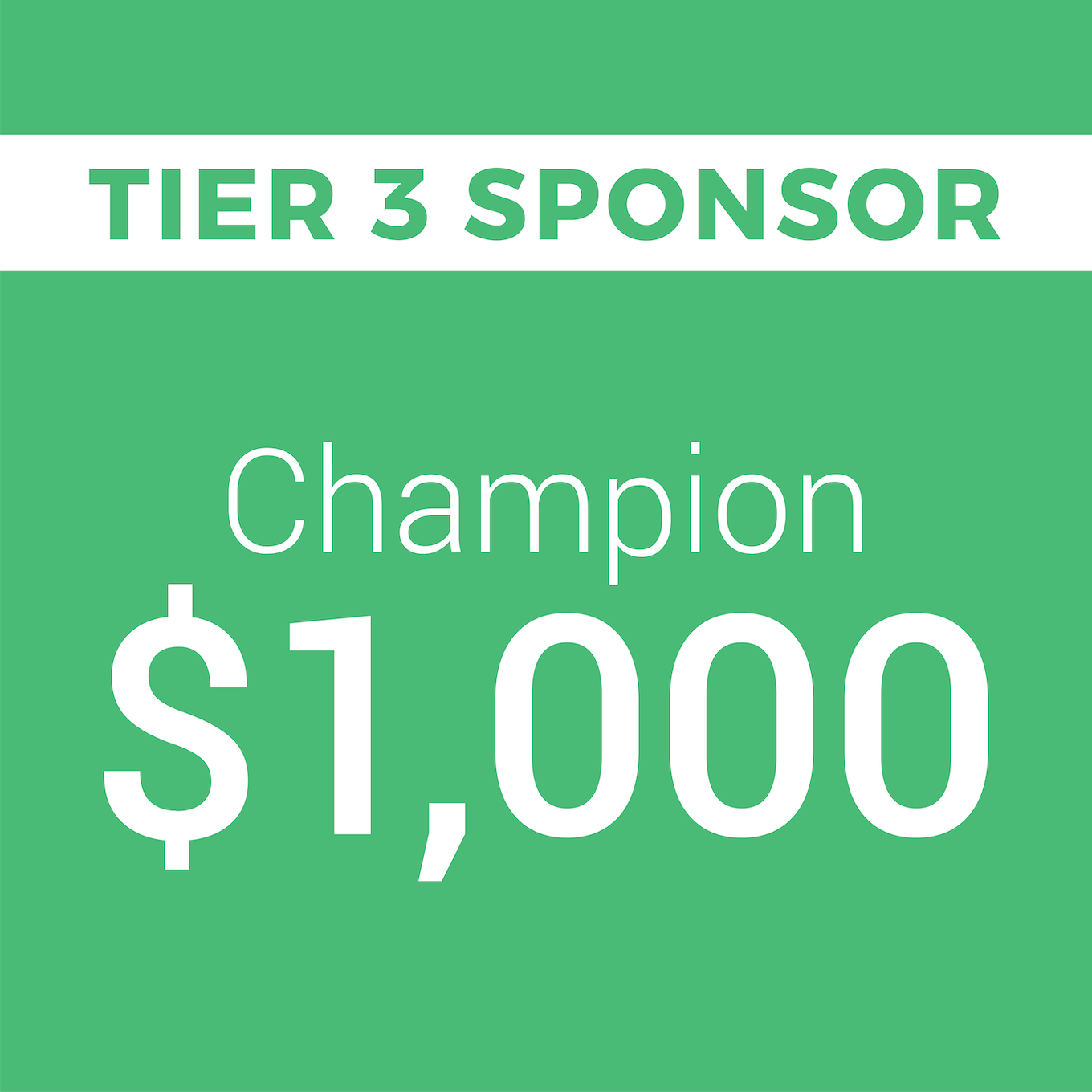 TIER 3 SPONSOR: Champion